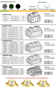 Serre de jardin en aluminium avec verre trempé, revêtement poudré, imperméable et anti-rongeurs, serre moderne - Product Image 2