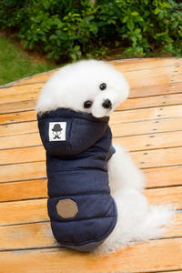 Logo personnalisé de haute qualité automne hiver manteau pour <span class=keywords><strong>chien</strong></span> avec sweats à capuche style <span class=keywords><strong>moustache</strong></span> mignon fabricant de vêtements pour animaux de compagnie en gros veste pour <span class=keywords><strong>chien</strong></span> - Product Image 6