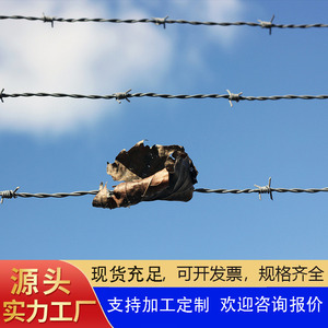 Filet d'isolation de fil de fer barbelé galvanisé à chaud clôture de sports de plein air filet de protection anti-escalade pour la reproduction treillis métallique de qualité - Product Image 5