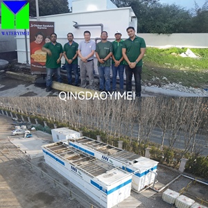 Impianto di Trattamento Acque Reflue con Reattore a Letto Mobile MBR MBBR, Impianto di Trattamento Acque Containerizzato in Vendita - Product Image 2