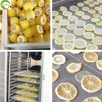 Gedroogde zure gele citroenschijfjes VC fruit bulkverpakking, groothandel suiker