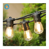 Câble plat en caoutchouc PVC durable Douilles E27 Scène de mariage Intérieur Extérieur LED Festoon Ampoule Ceinture Fairy String Light
