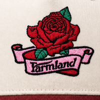 Casquette de baseball brodée de roses, à visière plate, réglable, pour hommes et femmes, décontractée, motif floral, crème et rouge