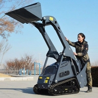 Mini-chargeuse compacte EPA Crawler, chargeuse compacte diesel Kubota pour l'agriculture et la construction