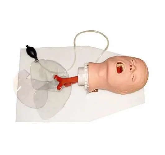 医療科学高品質の人間のTracheaAirway管理Manikin Medical Education manikin airway