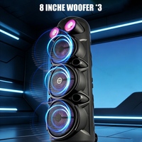 CSN-831 Big Power Triple 8 Inch Woofer, Haut-parleur professionnel de karaoké extérieur avec double tweeter RGB