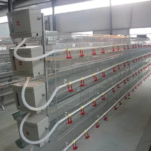 Poultry Farm Equipment Automatic 4 Tiers Broiler Breeder Chicken Battery Cage