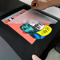 Autocollants personnalisés DIY en vinyle thermocollant pour vêtements, sérigraphie avec motifs, pressage Plastisol DTF pour images sur T-shirts et chaussures