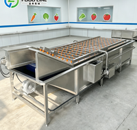 Wassen, polijsten en combineren voor het reinigen van harde oppervlakken, zoals appels, met een bubbelwasmachine