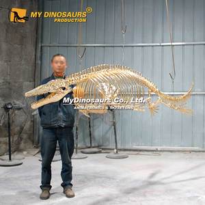 Juguete Acuático de Dinosaurio, Esqueleto de Mosasaurio en Color Dorado - Product Image 1
