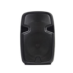JERRY Sound <strong>Audio</strong> 12 Inch Portable Rechargeable Battery Trolley Speakers with Guitar <strong>Input</strong> - Product Image 2
