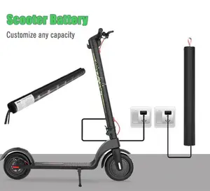 Fabriek Custom Koolstofvezel Scooter Lithium Batterij 25.2V 48V 36V Elektrische Motor Scooters Geïntegreerde Li Ion Batterij Voor Escooter