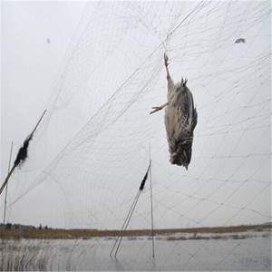 Giá rẻ 18 mét chống <span class=keywords><strong>Bird</strong></span> lưới nhựa cho Orchard - Product Image 1