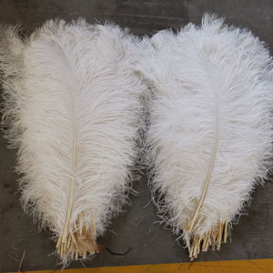 60cm 65cm En Gros Naturel Pas Cher Rouge Décor Plume Grand Blanc Noir Pièce Maîtresse Femina Longues Plumes D'autruche pour La Fête De Mariage - Product Image 2