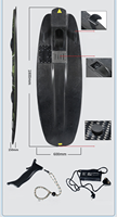 Planche de surf électrique en fibre de carbone pour enfants la plus vendue Hydroptère haute puissance Logo personnalisable Planche résistante à l'eau de mer gratuite