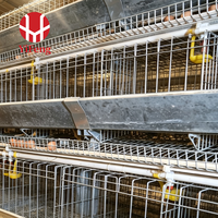Équipement moderne pour ferme avicole Cage pour pondeuses pour élevage de volailles Cage automatique pour pondeuses de volailles pour l'Indonésie