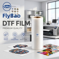 Film DTF PET en rouleau, livraison rapide directe d'usine, 60 cm x 30 cm, format A3, matériau transparent de transfert thermique pour l'impression sur vêtements