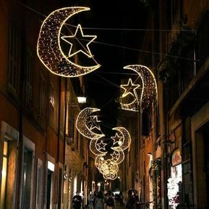 Luz LED cruzada personalizable, impermeable IP65, para decoración comercial interior y exterior, navideña y de temporada. - Product Image 1