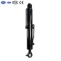Vérin hydraulique robuste à tige de 40 mm, 25 MPa, avec œil pivotant et raccord externe pour mini-excavatrice