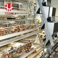 Système de cage d'élevage de type A pour l'élevage de poussins avec alimentation automatique, équipement commercial pour ferme avicole, vente en gros