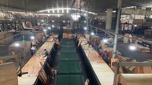 A + 0.3mm-1mm Sồi/óc chó/tro/Bạch đàn/Augustus/bóng gỗ gỗ tự nhiên Veneer khách sạn nhà tấm Tường trang trí tấm 240cm - Product Image 6