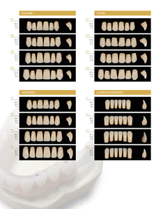 Dientes de Prótesis Dentales Manuales de 5 Capas, Aprobados por la CE, para <span class=keywords><strong>Implantes</strong></span>, Alta Calidad, Clase II, <span class=keywords><strong>Precio</strong></span> de Fábrica, 16 A-D - Product Image 2