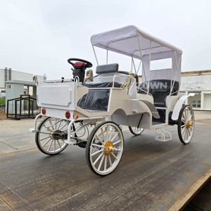 Voitures électriques de tourisme ZOWN Victoria de haute qualité, nouveau design, garantie de deux ans, origine Chine, chariot de tourisme vintage - Product Image 5