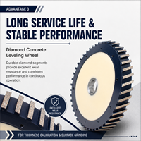 Roue de nivellement en diamant pour béton 16'' (400 mm) pour l'étalonnage de la épaisseur et le meulage de surface