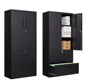 Metal File Cabinet with 2 Drawer, Lockable Vertical Lateral Filing Storage Cabinet, File Cabinet with Storage Cabinet