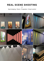 Alibaba Alemania 10W RA97 CCT nuevo estilo moderno regulable proyector de Marco moldeable 10W Luz de pista de contorno para Galería de Arte de museo