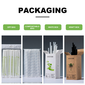 Oem compostable PLA muỗng ống hút với đầu nhọn phân hủy sinh học cho milkshakes smoothies và nguồn cung cấp bên - Product Image 3