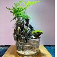 Vase décoratif hydroponique sur pied en verre et résine, design rocheuse cylindrique, pour poissons et tortues, idéal pour salon