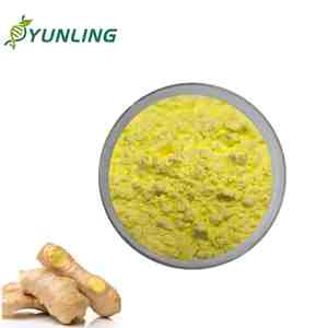 Nhà máy cung cấp chiết xuất gừng 10% zingerone bột màu vàng cấp thực phẩm trong thùng nhựa trống giá số lượng lớn - Product Image 1