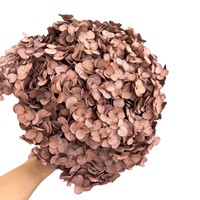 Fleurs d'hortensia séchées Anna en gros, hortensia blanc pur, bouquet de fleurs de mariage, grand bouquet d'hortensia préservé pour la décoration d'événements