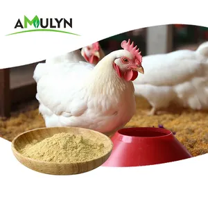 AMULYN Poudre de lécithine de soja de qualité supérieure de qualité alimentaire 90%