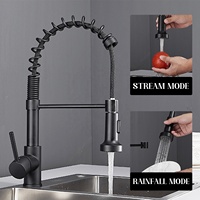 Robinet d'évier de cuisine commercial à ressort à poignée unique en laiton noir à trou unique avec pulvérisateur rétractable