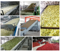 Plantaardige Droogapparatuur Vijg Kokosnoot Fruit Drogen Productielijn 300 Kg/u Doorlopende Band Droger Machine