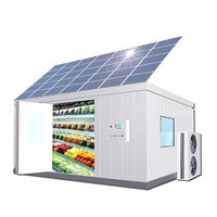 Equipo de Refrigeración Industrial de 20 pies y 40 pies con energía solar de congelación rápida contenedor de refrigeración para refrigeración de 20 pies