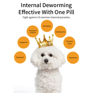 ยาถ่ายพยาธิสำหรับสุนัขแบบรายไตรมาส สูตรอ่อนโยน สำหรับดูแลที่บ้าน ปลอดภัยสำหรับลูก<span class=keywords><strong>สุนัข</strong></span>และสุนัขตั้งท้อง ครอบคลุมพยาธิทั้งภายในและภายนอก - Product Image 4