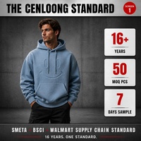 Sweat-shirt à capuche Cenloong personnalisé en relief 3D 400GSM, sweat-shirt pour homme, streetwear de haute qualité, unisexe