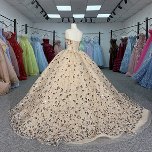 Robe de bal de princesse plissée avec appliques florales en cristal et perles multiples Dy6925-1 pour Quinceañera, soirée de gala, Sweet 16 - Product Image 4