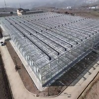5 hectare grote, meergespannige, gecontroleerde kweekkas voor de teelt van groenten, bloemen en fruit met automatische irrigatie