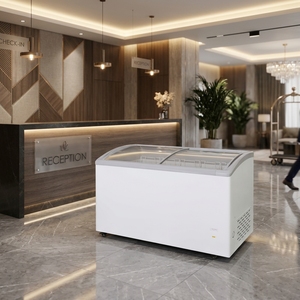 Congelatore Espositore per Gelati XMING 300L-600L, Vetrina Curva in Vetro per Supermercati, Certificato CE/CB, Direttamente dalla Fabbrica - Product Image 1