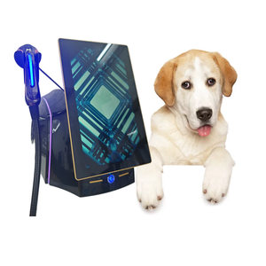 Appareil de thérapie par ondes de choc focalisées électromagnétiques ESWT pour chien - Product Image 2