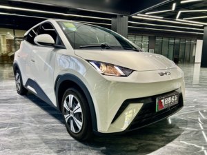 Autos Eléctricos BYD Seagull 2024, Versión EV Flying, Vehículos de Nueva Energía, Autos BYD Seagull, Vehículos Usados Baratos para Adultos - Product Image 3