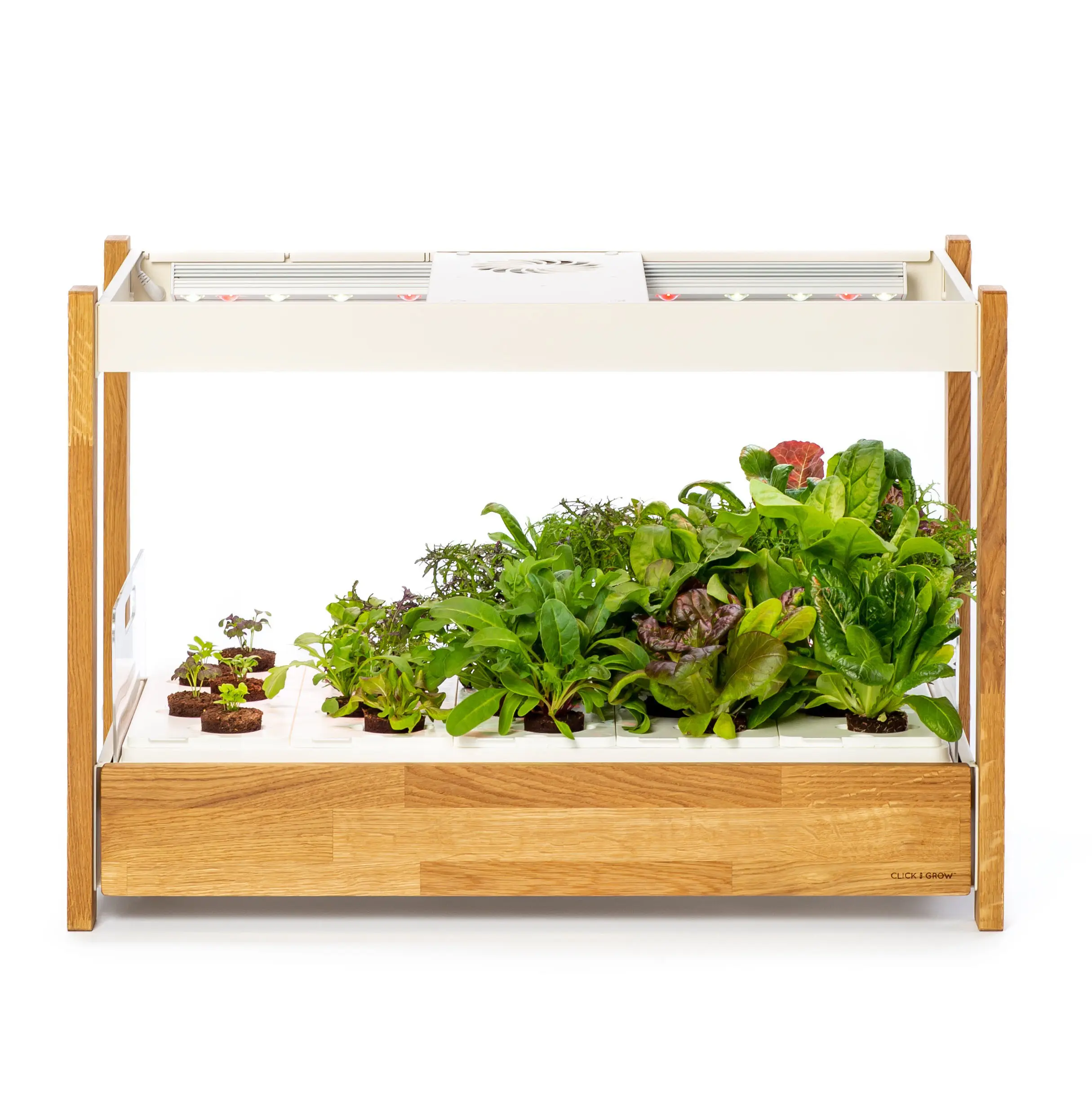 Il Click & Grow 10x20 microgreen tray vertical hydroponic garden smart growing System aerogarden hydroponics indoor kit