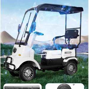 Commercio all'ingrosso 60V/650W Mini Scooter elettrico auto <span class=keywords><strong>2</strong></span> posti elettrico Golf Cart con il prezzo basso - Product Image 4