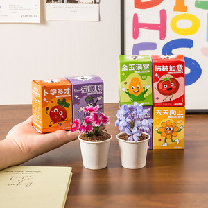 Creative Plant <b>Blind</b> Box <b>Mini</b> Potted Plants Paper Rectangle Tabletop Vase Home Office Study Decor Back To School - Product Image 4