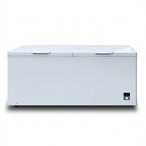 Congélateur coffre commercial à compartiments, optionnel, classe énergétique A, pour usage domestique, hôtelier et extérieur - Product Image 1