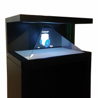 Perlengkapan Hologram 3D, Tampilan Hologram Hologram HD Tipe Holografik 270 Derajat